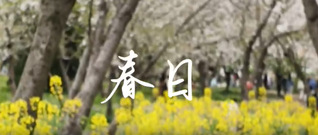 世界读书日——用阅读点亮心灵之...